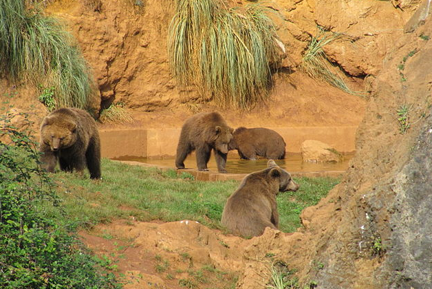 Parque de la Naturaleza de Cabárceno