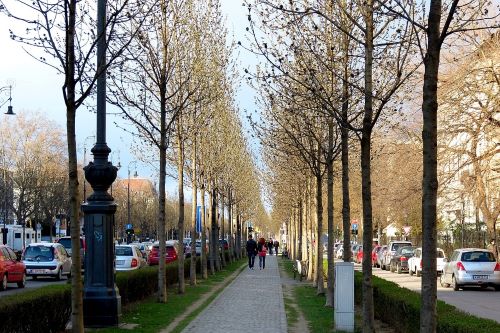 Avenida Andrássy