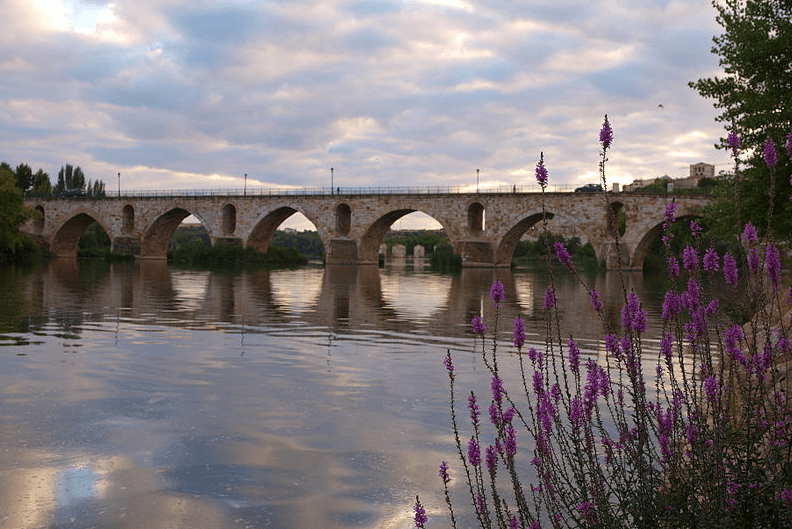 Puente de Piedra