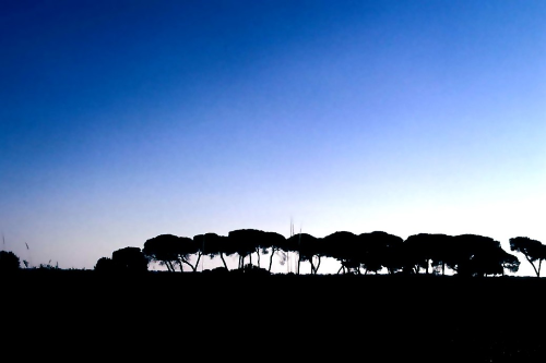 Parque Nacional de Doñana
