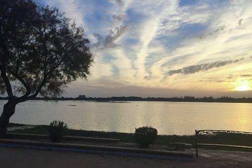 El Entorno de Doñana
