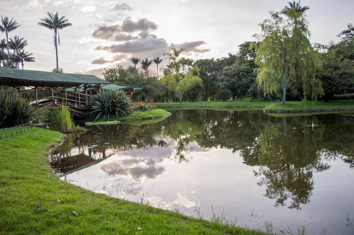 Jardín Botánico