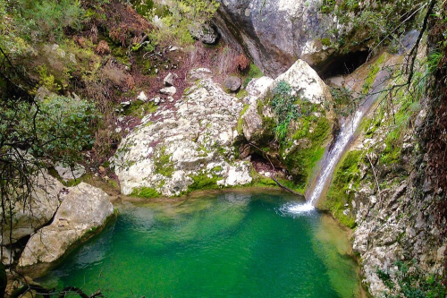 Biodiversidad