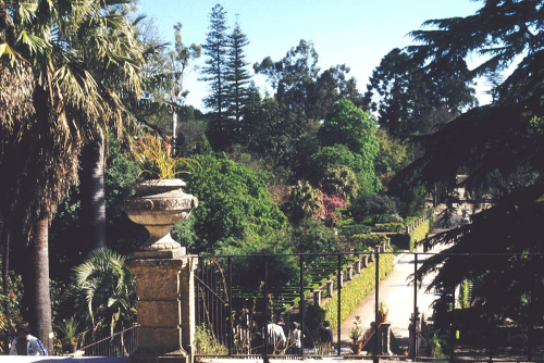 Jardín Botánico